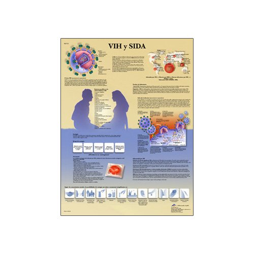 3B Scientific VR3725L Glossy UV Resistant Laminated Paper Vih Y Sida Anatomical Chart (Hiv and Aids Anatomical Chart, Spanish), Poster Size 20" Width x 26" Height