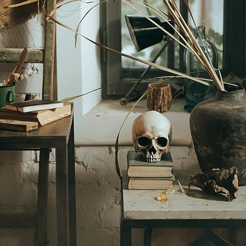 493- Le Premonizioni di Morte: Realt&agrave; o Fantasia? copertina