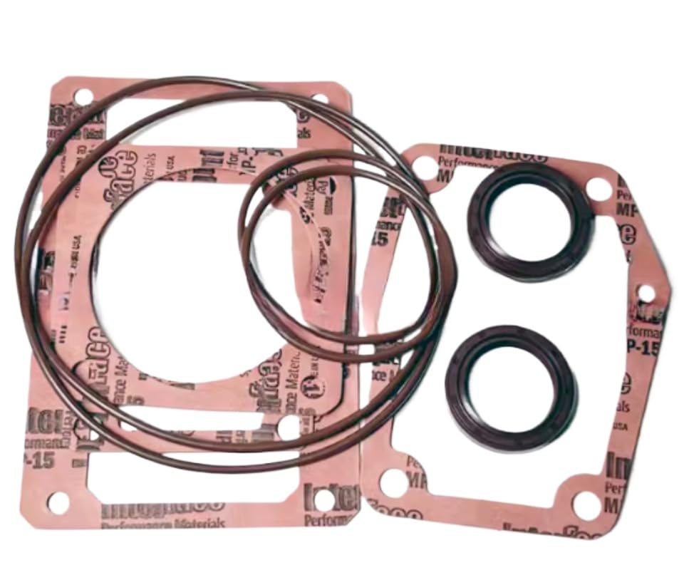 1PC Vacuum Pump Sealing kit RA0100 RA0100D