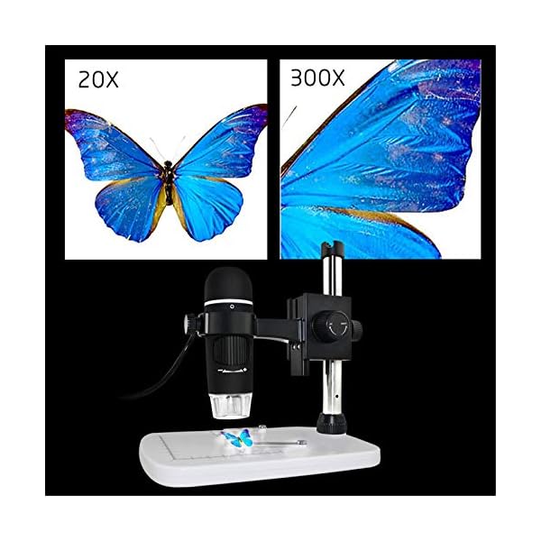 Digitales Mikroskop, 5 MP, USB-Mikroskop, 8 LED-Leuchten, Handmikroskop, 1080P Mikroskop-Kamera mit professionellem… – Bild 4