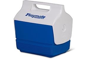 Igloo Playmate Elite Lunch Box