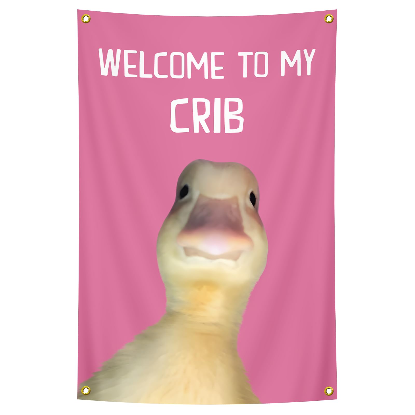 Welcome to My Crib Flag Fun Poster Pink 2X3 FT (60X90CM) University Dormitory Garage Tailgate Banner Fun Party Men's Cave Decoration Flag (Pink)