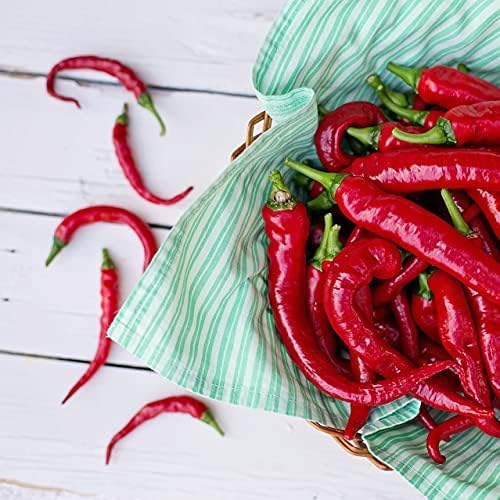 Cayenne pepper ground (500g, 1.1 lb), cayenne pepper powder, 100% natural, very hot, cayenne chili pepper gently dried and ground, without additives