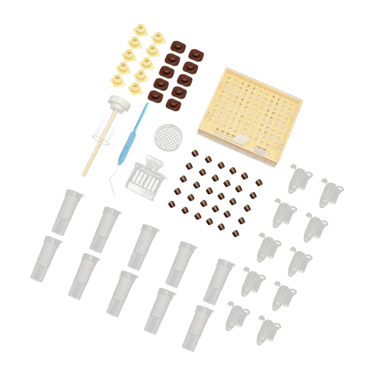 Kit di Allevamento delle Regine in Abs, Box per Apicoltura | Gestione Allevamento, Leggero e Pratico, Accessori per Attività di Impollinazione e Cura Api Colore Casuale