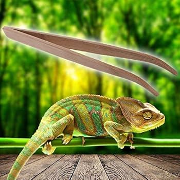 根付け　トカゲ  蜥蜴　爬虫類　竹 71X3KM6JM4L._UF1000,1000_QL80_.jpg