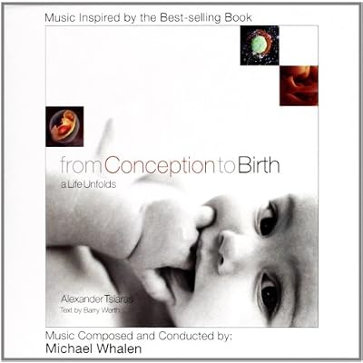 From Conception To Birth: A Life Unfolds