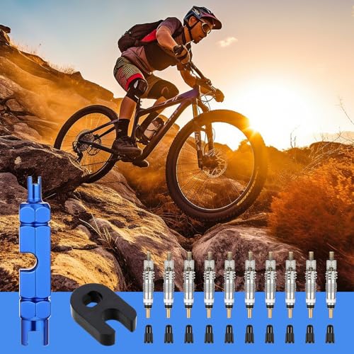 Image of 22Pcs Valve Core Tool Set, Bicycle Valve Stem Removal Tool with Tubeless Valve Core & Tire Valve Stem Caps, Bike Valve Stem Core Replacement Kit for Mountain Bike Road MTB Tires Repair