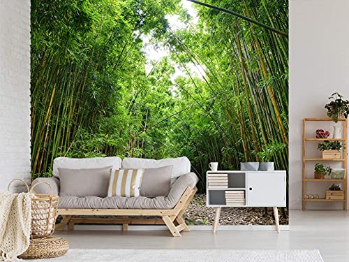 Oedim Papel Pintado Bosque de Bambú, Decorativo para Habitaciones, decoración para Paredes, Mural
