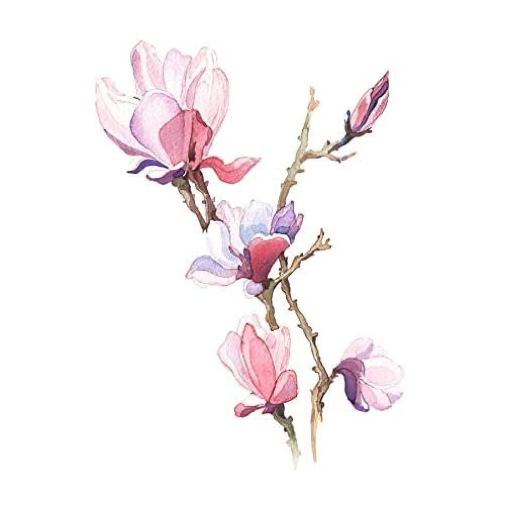 Wee Blue Coo Flower Magnolia Watercolour Unframed Art Print Poster Wall Decor 12x16 inch