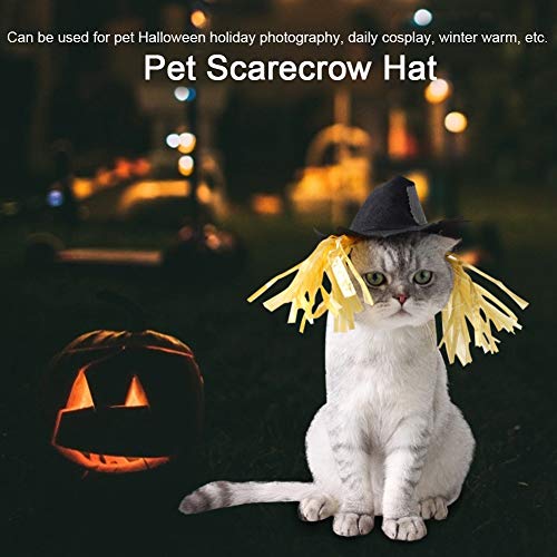Disfraz Sombrero Espantapájaros Halloween para Perro miniatura 4