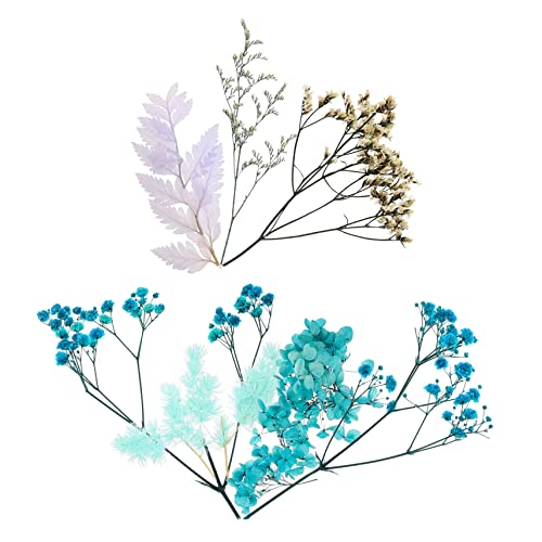 Flores secas naturales para manualidades y decoración