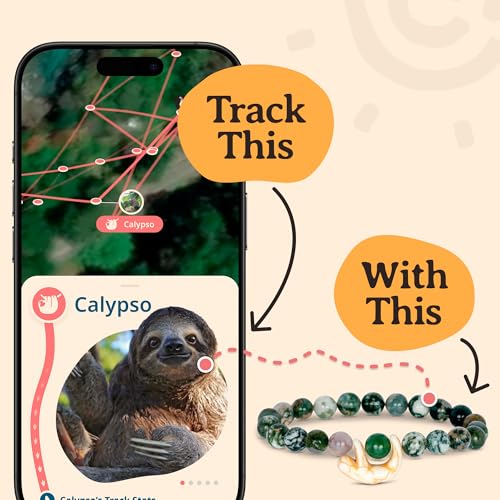 The Wander Bracelet4