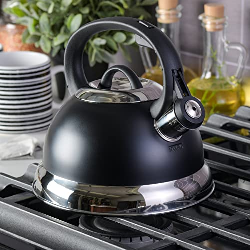 image for Mr. Coffee Flintshire 1.75-Quart Stainless Steel Whistling Tea Kettle 
