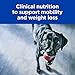 HILL'S PRESCRIPTION DIET Metabolic + Mobility, Weight + j/d Joint Care Chicken Flavor Dry Dog Food, Veterinary Diet, 15 lb. Bag