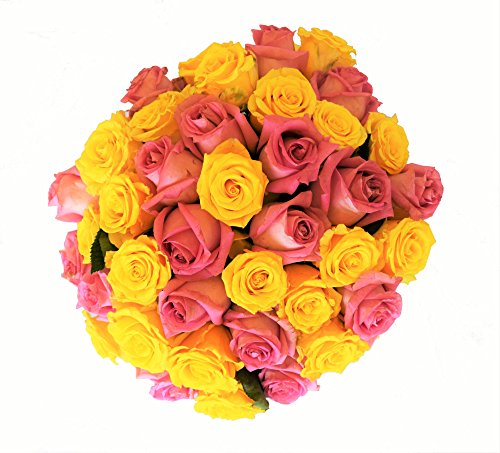 50 Mother's Day Farm Fresh Yellow and Pink Roses Bouquet By JustFreshRoses | Long Stem Fresh Yellow and Pink Rose Delivery | Farm Fresh Flowers
