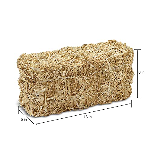 Image of FloraCraft Decorative Straw Bale 5 Inch x 6 Inch x 13-Inch Natural,(Pack of 12)