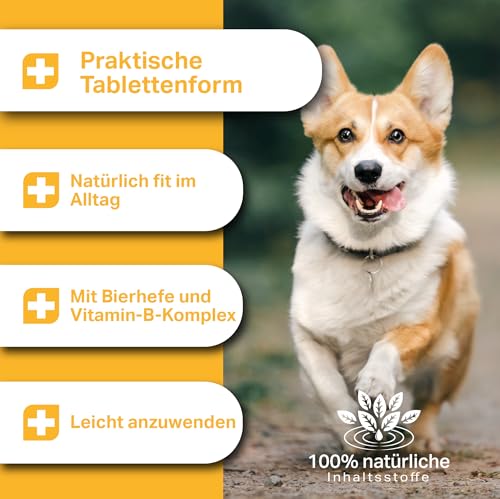 MEDIDOG Multi Vitamin B Komplex Tabletten – ca. 260 Tabletten – hochdosiert, mit VIT. B1, B2, B3, B6, B12, VIT. A, VIT. E, mit Casein, Bierhefe und Kurkuma