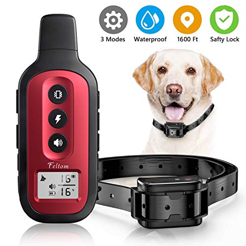 peteme dog training collar