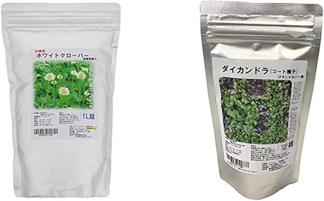 Amazon Co Jp ホワイトクローバーお徳用種子 1l詰 ダイカンドラ種子 コート種子 100ml詰 グランドカバー用 セット買い Amazon Co Jp ホワイトクローバーお徳用種子 1l詰 ダイカンドラ種子 コート種子 100ml詰 グランドカバー用 セット買い