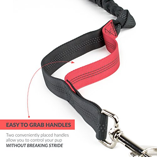 Tuff Mutt Hands Free Dog Leash For Running, Walking, Hiking, Durable Dual-Handle Bungee Leash Is 4 Feet Long With Reflective Stitching, And An Adjustable Waist Belt That Fits Up To 42 Inch Waist #TOP7