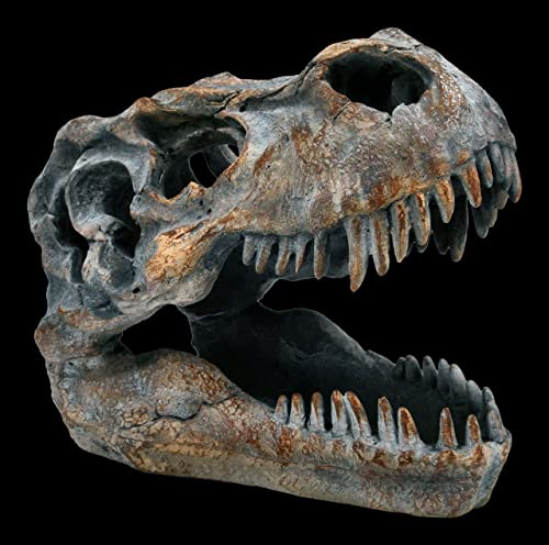 Tyrannosaurus Rex Totenkopf - klein - Deko Figur Dinosaurier