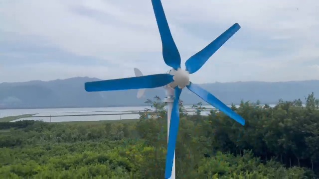 Amazon.com: ZHOZHUT 12V 24V 48V Wind Turbine Generator Kit 800W