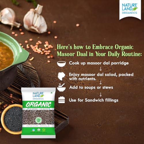Image of Natureland Organics Masoor Whole /Sabut 500 Gm (pack of 3) - Organic Healthy Pulses