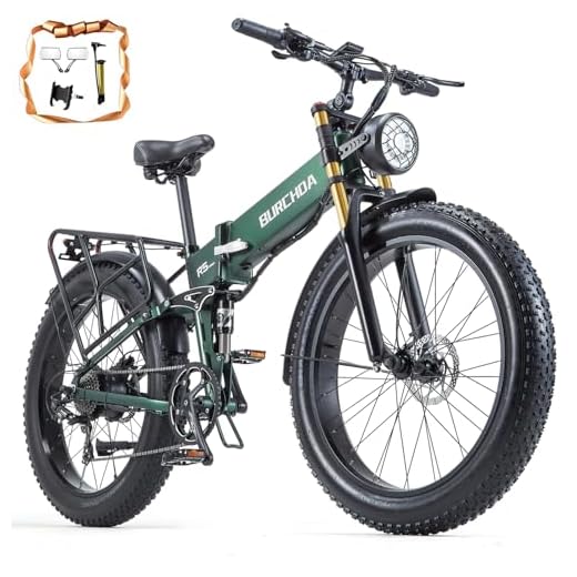 2000W Dual Motor Electric Bicycle for Adults