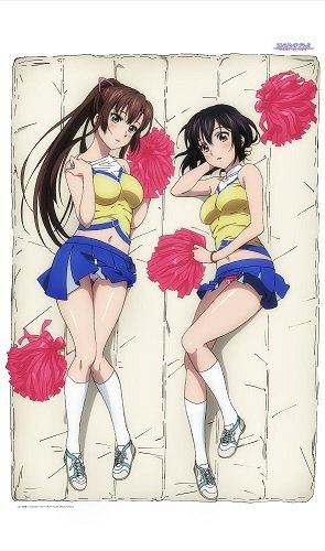ストライク・ザ・ブラッド 描き下ろし ツイルマルチクロス 雪菜＆紗矢華[ Amazon.co.jp: ストライク・ザ・ブラッド 描き下ろし 雪菜&紗矢