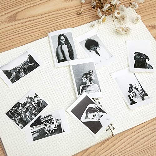 Phomemo M02 Thermal Paper White 20 Years Retainable Set of 3 Self-Adhesive Printer Paper for Phomemo M02 M02S M02-Pro M03 Sticker Maker