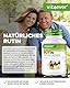 Rutin 500 mg - 180 Kapseln (6 Monatsvorrat) - Premium: 95% echtes Rutin aus natürlichem Sophora japonica Extrakt - Hochdosiert - Ohne Zusätze - Vegan