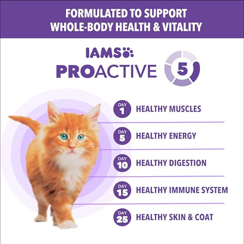 Image of IAMS Proactive Health Healthy Kitten Dry Cat Food Salmon Recipe, 16 lb. Bag