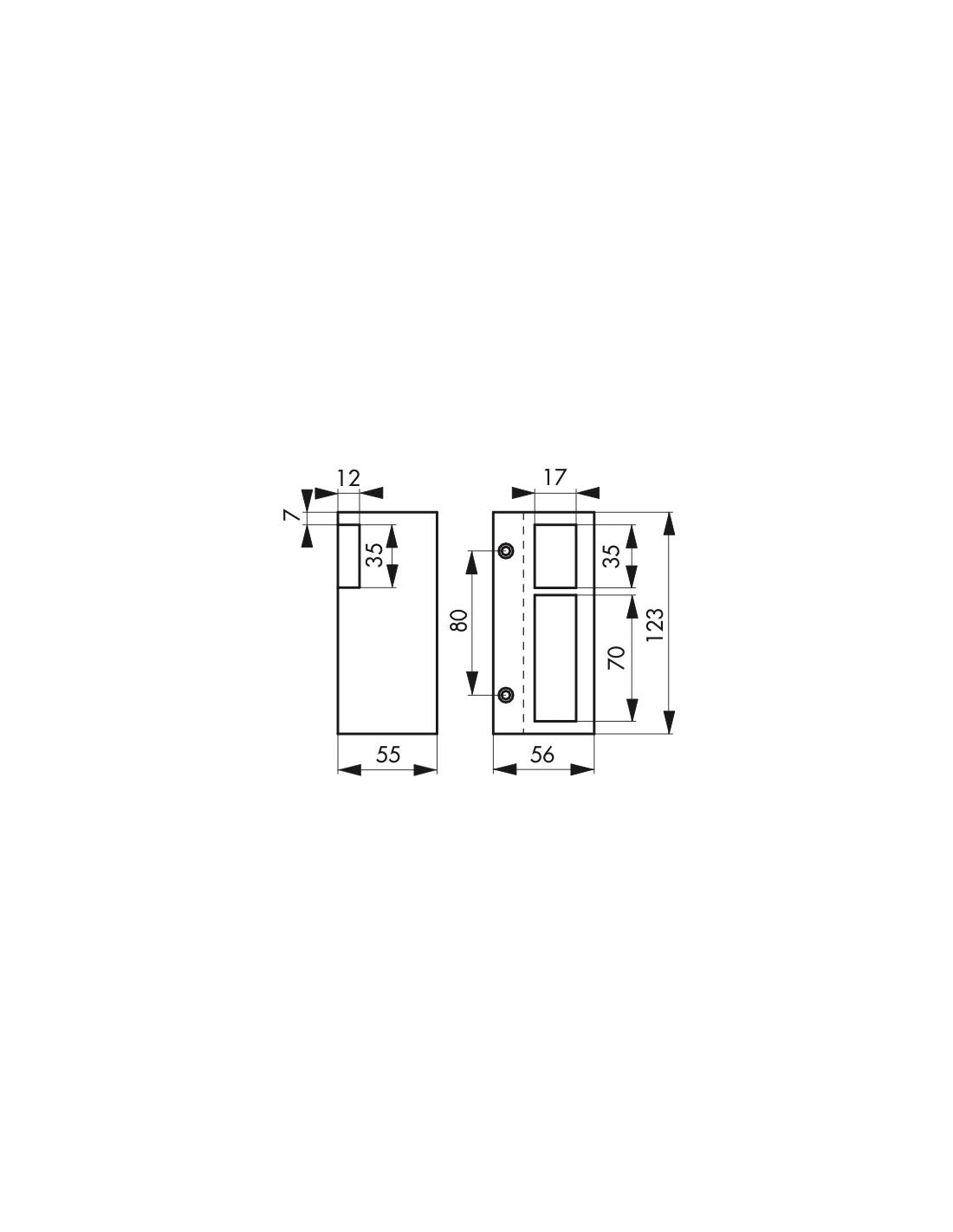 THIRARD - Gache Eléctrica para Cerradura Vertical en Applique - Reversible - 12 V - Compatible Exterior - Cuerpo de Aleación - Doble Pestillo - Instalación Fácil - Gris