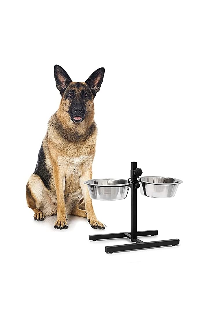 LOKO Stainless Steel Double Diner Food Bowls For Dog & Cat with Stand (Colour May Vary, 2x1600 ml) (B08G1KSTTV) Amazon Price History, Amazon Price Tracker