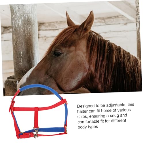 Mors horse gear SUPVOX : la solution ajustable contre l'inconfort du cheval