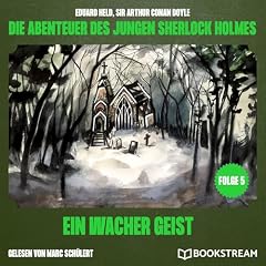 『Ein wacher Geist』のカバーアート