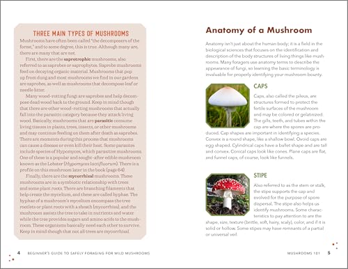 Callisto Stephenson, Karen Beginner'S Guide To Safely Foraging For Wild Mushrooms: Identifying And Collecting Mushrooms Sustainably With Confidence thumb #5