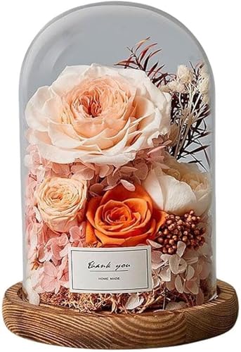 Tycoon vU[uht[ hCt[ KXJo[  d    ỉ ybg v[g ~ 䋟  Q d  r [Y AWg   zf[Mtg 