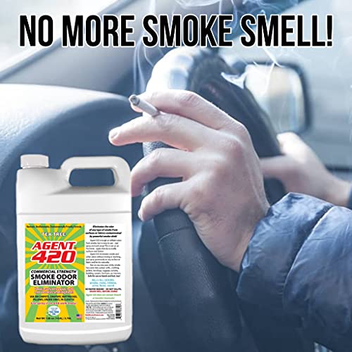 Agent 420 - Cannabis Odor Destroying Spray For Eliminating Cigarette Smoke Or Most Unwanted Odors In Your House, Car Or Apartment - Freshen Up The “Place” (Tea Tree Oil, 1 Gallon) #TOP2