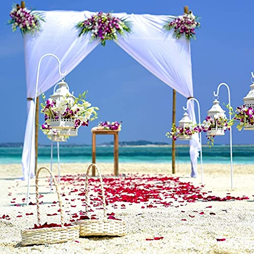 Reccisokz 100G natuurlijke gedroogde rozenblaadjes echte bloem droog rood rozenblaadje voor voetenbad lichaam bad spa… - Image 6