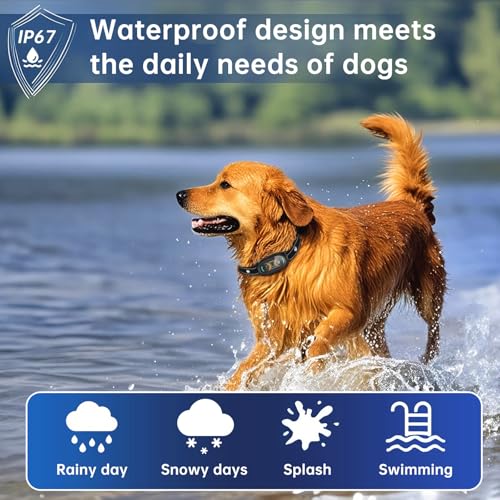 Smoothway Dog Bark Collar Features