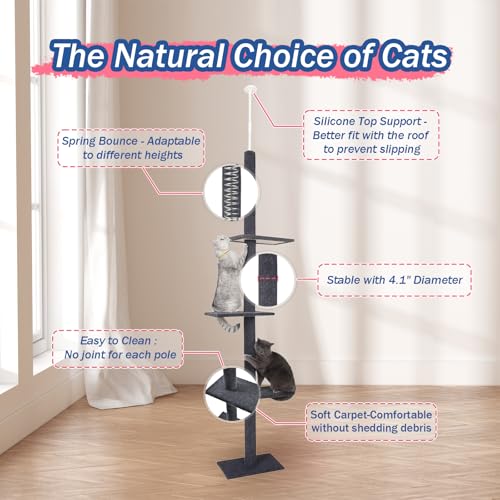 Árbol para Gatos 4 Niveles Ajustable Altura Interior Carbón miniatura 5
