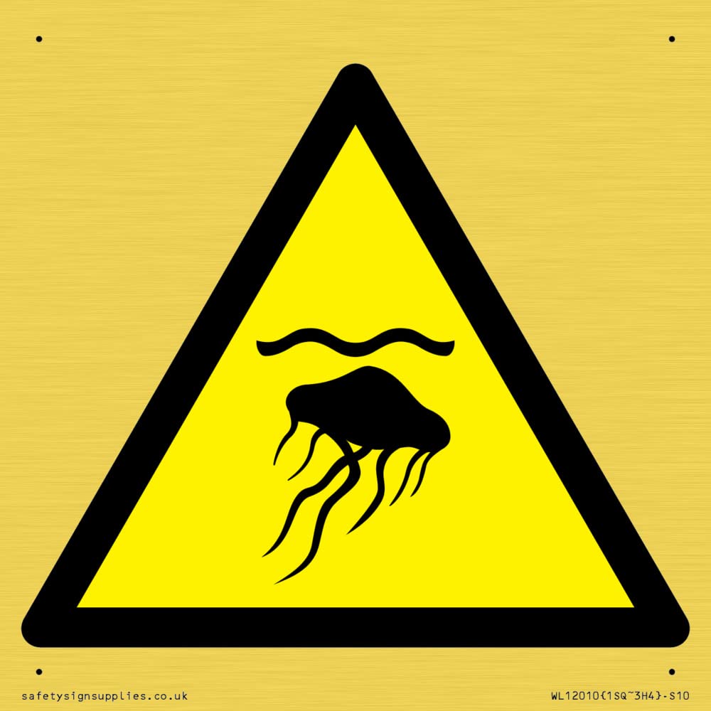 W069 Warning: Jellyfish Sign - 100x100mm - S10