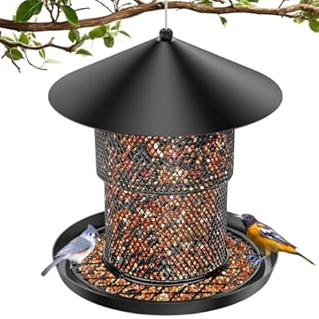 No Mess Bird Feeders That Will Change Your Feeding Experience Forever 1 no mess bird feeders