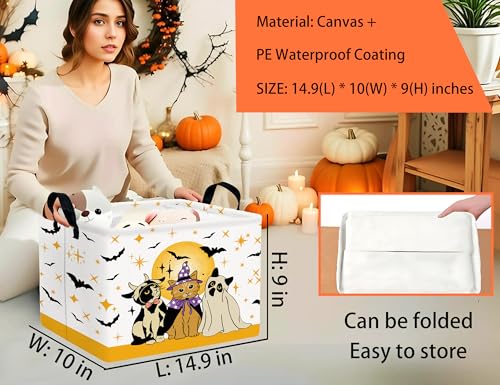 Image of Large Halloween Themed Candy Gift Boo Basket for Kids Baby Personalized Adults Storage Bin Fall Decor(Cat Bat)