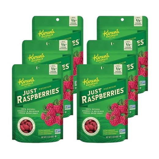 What food can you have in hand luggage Karen's Naturals Freeze-Dried Raspberries Pack