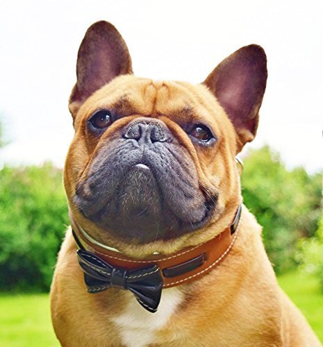 Bestia Bowtie'' Hundehalsband mit Lederfliege.Handgemacht. 100% Leder.