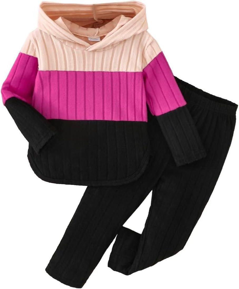 Toddler Baby Girl Clothes Fall Winter Outfits Long Sleeves Hoodie Top Sweatpants Set Sweatsuit 2Pcs