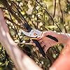 Fiskars Bypass Pruning Shears, 5/8-Inch Cut Capacity Garden Clippers, Gardening Scissors with Sharp, Rust Resistant Steel Blade #1