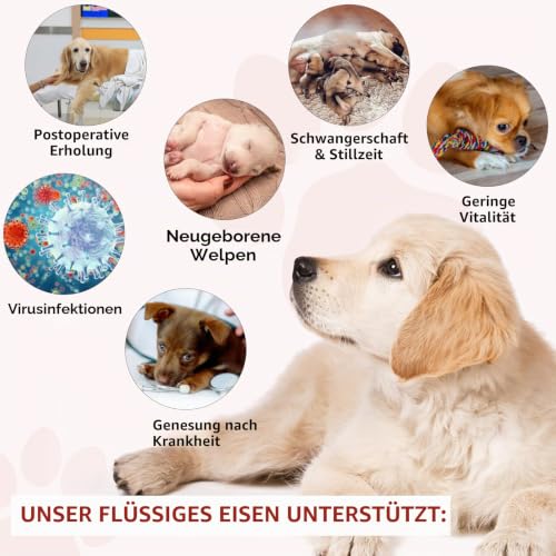 Flüssiges Eisen Ergänzungen Für Hunde,Liquii Eisen Tropfen Mit Folat Vc Und B12,Unterstützt Anämie,Niedrige Enerie-Spiegel Und Lethargie,Fördert Blutgesundheit,Bildung Von Roten Blutkörperchen-2 Fl.Oz